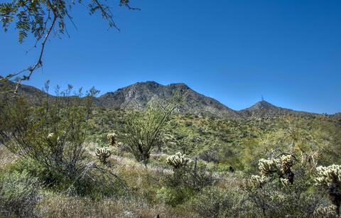 13842 E Coyote Way #48, Fountain Hills, AZ 85268
