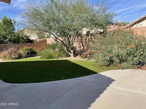 3614 E Potter Dr, Phoenix, AZ 85050 photo 11