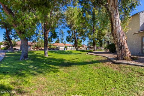 202 E Betty Elyse Ln, Phoenix, AZ 85022 photo 4