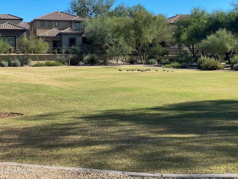 3964 E Melinda Dr, Phoenix, AZ 85050 photo 56