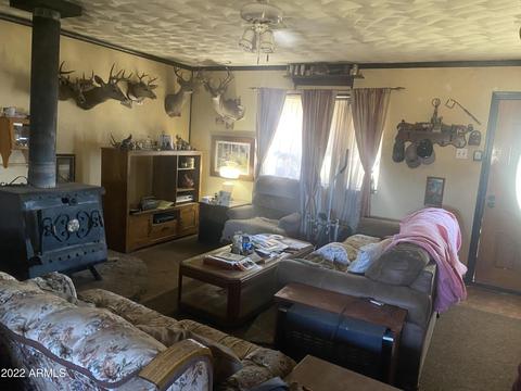 199 W Ewing Dr, Young, AZ 85554 photo 7