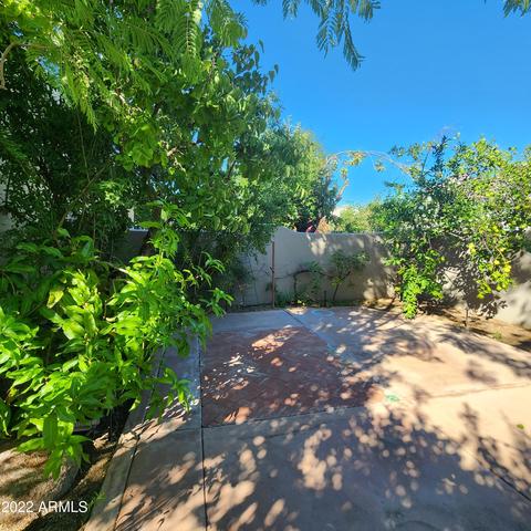 3302 E Campbell Ave #8, Phoenix, AZ 85018 photo 49