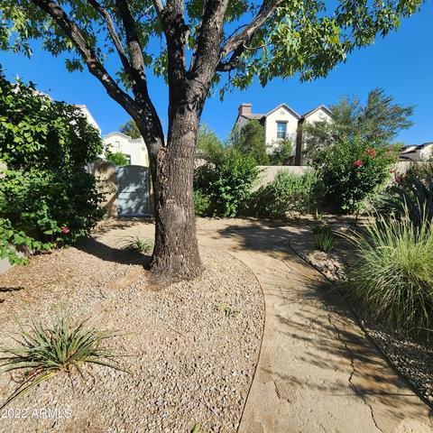 3302 E Campbell Ave #8, Phoenix, AZ 85018 photo 52