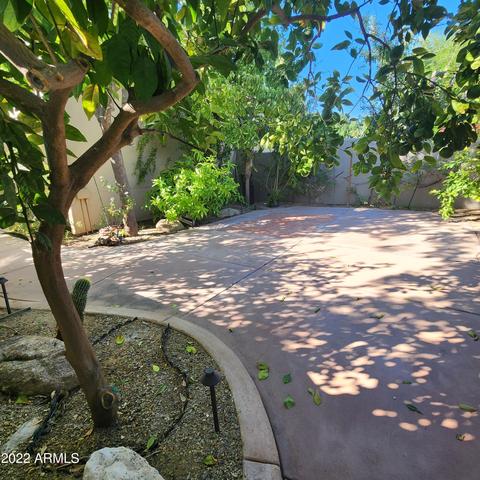 3302 E Campbell Ave #8, Phoenix, AZ 85018 photo 46