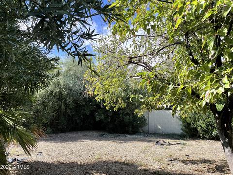 705 E Michelle Dr, Phoenix, AZ 85022 photo 5