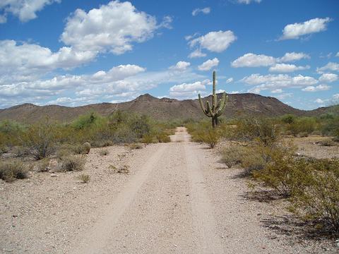 32302 W Galvin St #50, Unincorporated County, AZ 85390