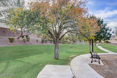 726 E Gary Ln, Phoenix, AZ 85042 photo 24
