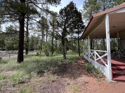 2853 Deer Trl, Overgaard, AZ 85933 photo 31