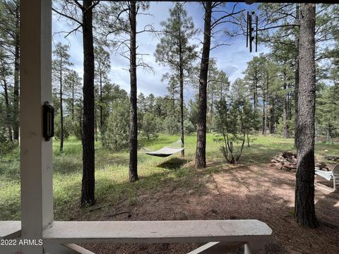 2853 Deer Trl, Overgaard, AZ 85933 photo 27