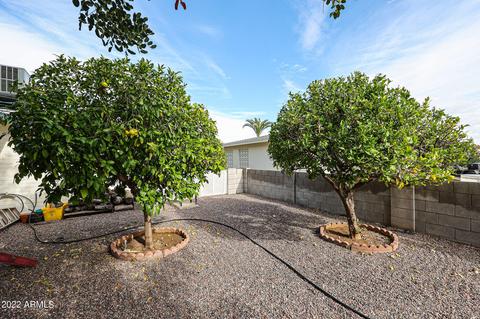 6215 Ensenada St, Mesa, AZ 85205 photo 13