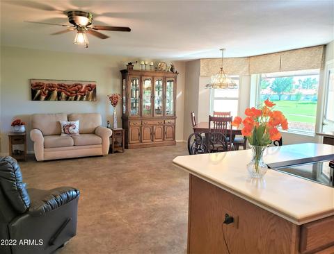 7829 E Lakeview Ave, Mesa, AZ 85209 photo 10