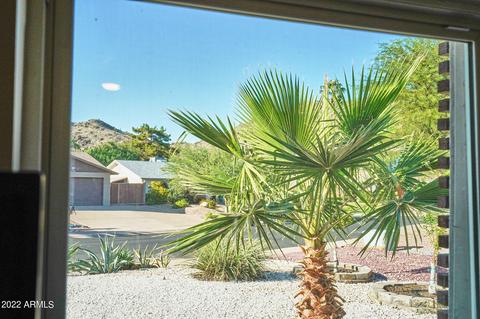 4313 E Sunrise Dr, Phoenix, AZ 85044 photo 26