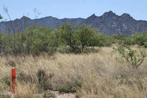141 Diamondback Rd #141, Saint David, AZ 85630