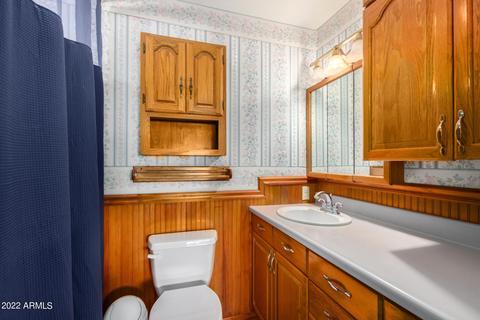 3135 E Larkspur Dr, Phoenix, AZ 85032 photo 18