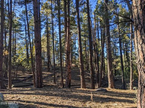 lot013 U Copper Basin -- #?, Prescott, AZ 86303
