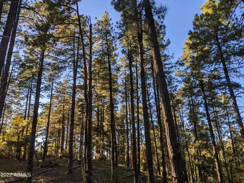 lot013 P Copper Basin -- #?, Prescott, AZ 86303