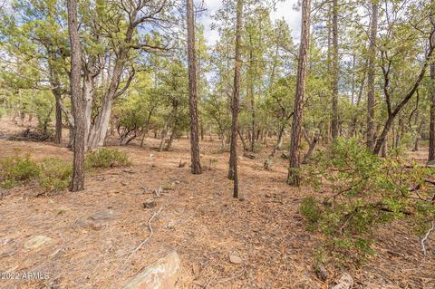 5478 W Valley View St, Pine, AZ 85544 photo 36