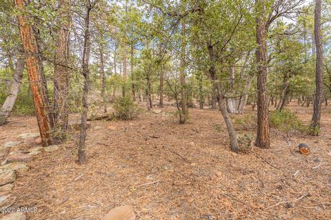 5478 W Valley View St, Pine, AZ 85544 photo 35