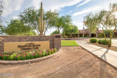 8965 E Ivyglen St, Mesa, AZ 85207 photo 45