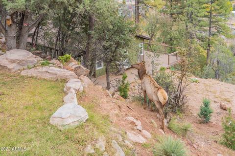 3425 N Ridge Trl, Pine, AZ 85544 photo 48