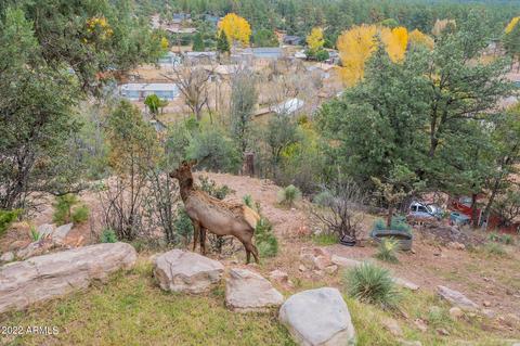 3425 N Ridge Trl, Pine, AZ 85544 photo 51