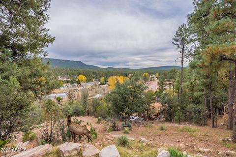 3425 N Ridge Trl, Pine, AZ 85544 photo 50