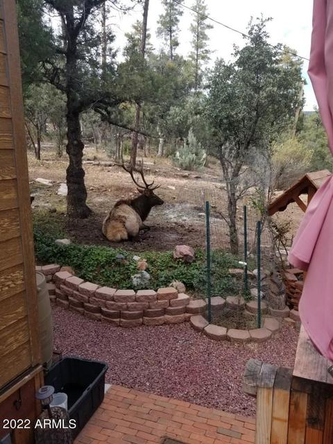 3425 N Ridge Trl, Pine, AZ 85544 photo 62