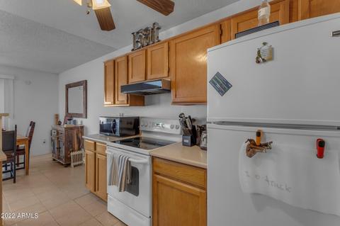 3014 E Michigan Ave, Phoenix, AZ 85032 photo 16