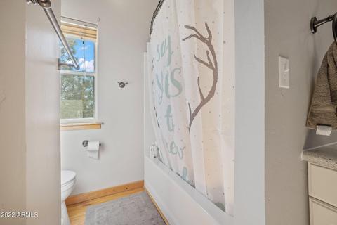 2904 Cedar Ridge Cir, Overgaard, AZ 85933 photo 23