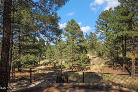 2904 Cedar Ridge Cir, Overgaard, AZ 85933 photo 30