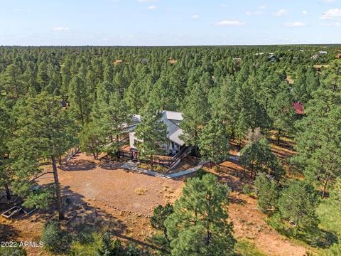 2904 Cedar Ridge Cir, Overgaard, AZ 85933 photo 2