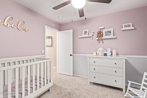 8550 E Desert Ln, Mesa, AZ 85209 photo 22