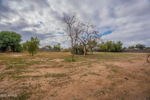 10001 E Bramble Ave, Mesa, AZ 85208 photo 29
