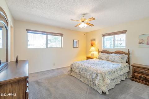 5849 E Decatur St, Mesa, AZ 85205 photo 10