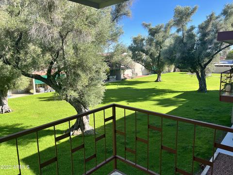 3737 E Turney Ave #203, Phoenix, AZ 85018 photo 16