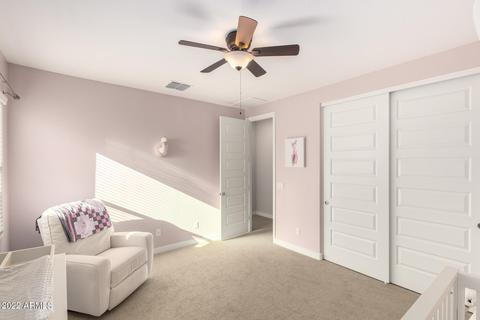 10135 E Gamma Ave, Mesa, AZ 85212 photo 23