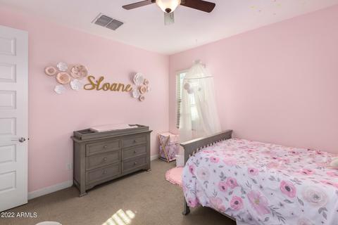 10135 E Gamma Ave, Mesa, AZ 85212 photo 21