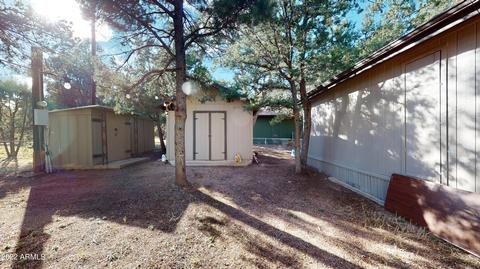 2179 Rainbow Trl, Overgaard, AZ 85933 photo 20