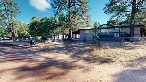 2179 Rainbow Trl, Overgaard, AZ 85933 photo 23