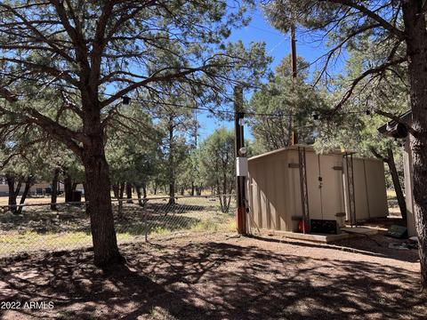 2179 Rainbow Trl, Overgaard, AZ 85933 photo 19