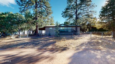 2179 Rainbow Trl, Overgaard, AZ 85933 photo 2
