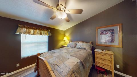 2179 Rainbow Trl, Overgaard, AZ 85933 photo 10
