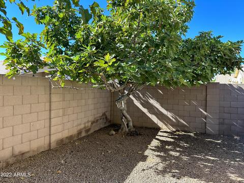 199 W Dublin St, Gilbert, AZ 85233 photo 39