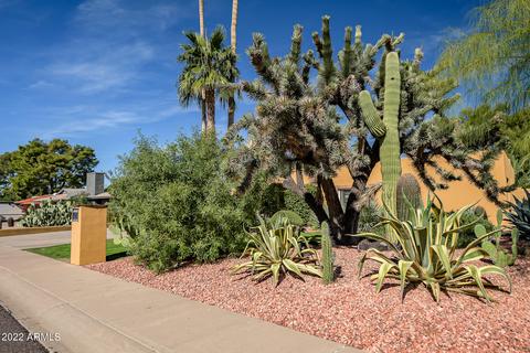 318 E Sharon Ave, Phoenix, AZ 85022 photo 40