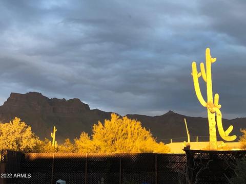 1729 S Val Vista Rd, Apache Junction, AZ 85119 photo 65