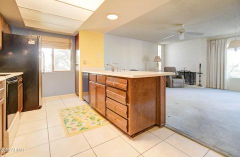 11638 S Half Moon Dr, Phoenix, AZ 85044 photo 23