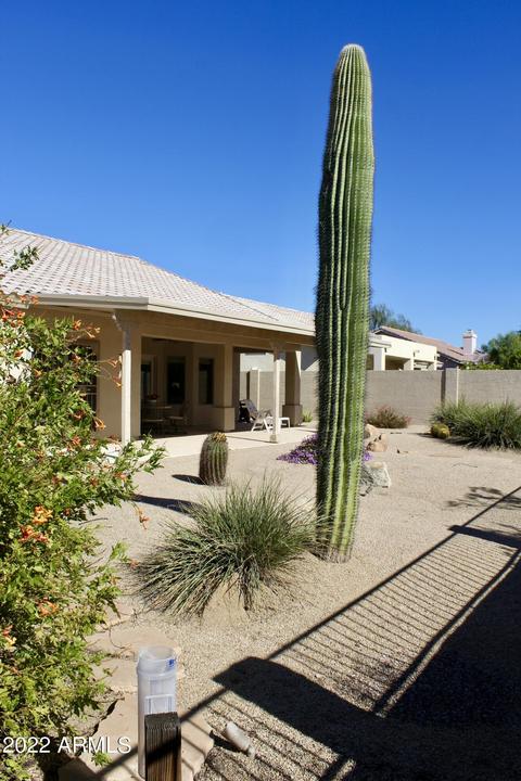 909 E Redfield Rd, Phoenix, AZ 85022 photo 55