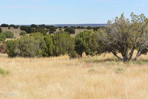 0 Well 4 Rd #-, Heber, AZ 85928
