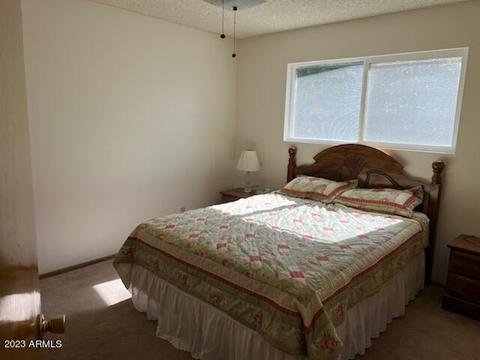 5849 E Colby St, Mesa, AZ 85205 photo 13