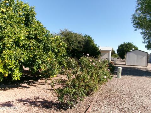 5849 E Colby St, Mesa, AZ 85205 photo 21